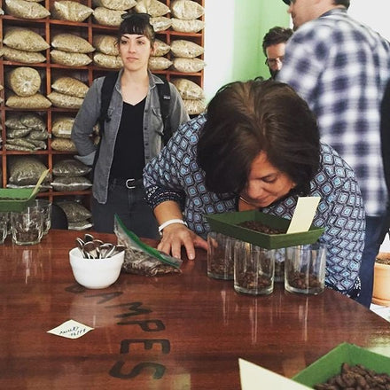 Coffee Cupping at Cervantes