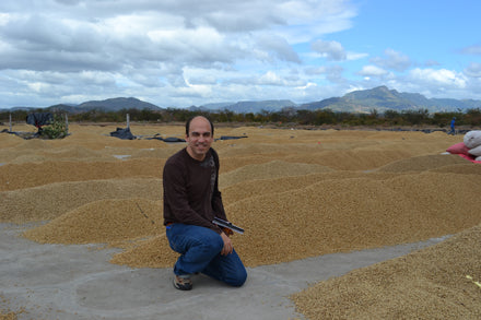 Coffee drying methods for small farmers