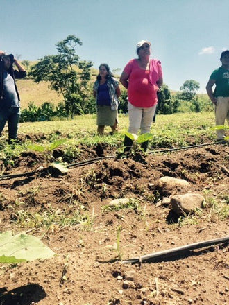 Why Small Farmers Matter