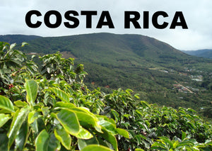 COSTA RICA - TARRAZU