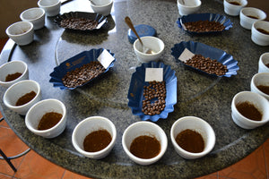 Advanced Coffee Cupping