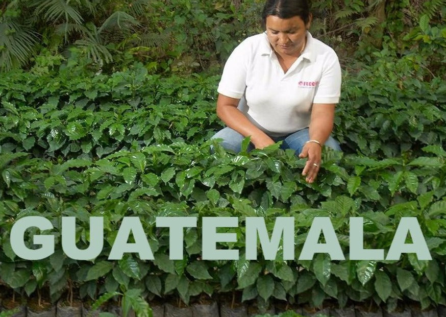 GUATEMALA - HUEHUETENANGO / FTO