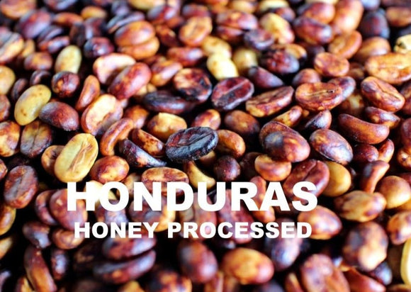 HONDURAS - HONEY PROCESSED
