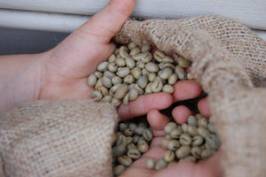 Six Month Coffee Subscription ( 1 Lb bag only)